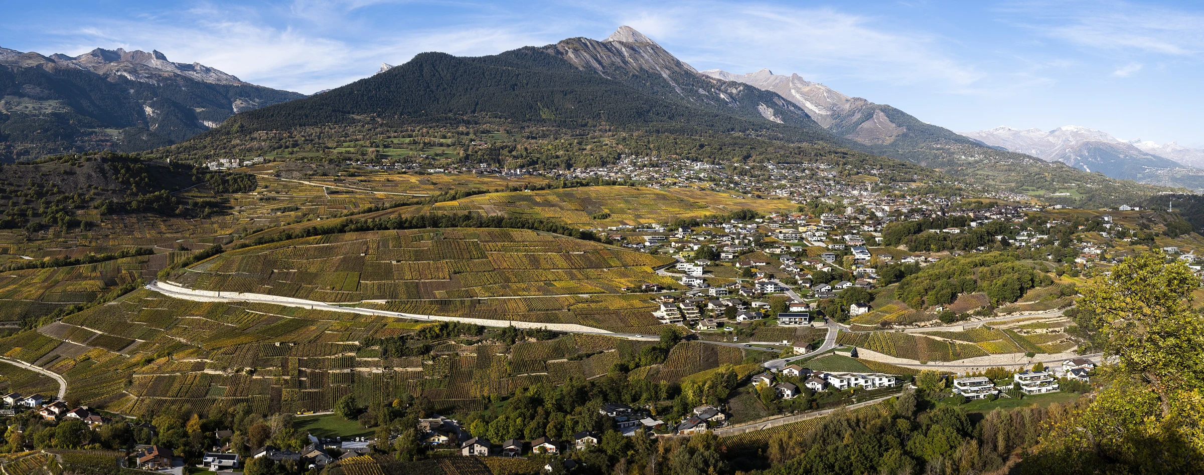 Panorama de Savièse depuis Montorge : vignobles, villages et montagnes